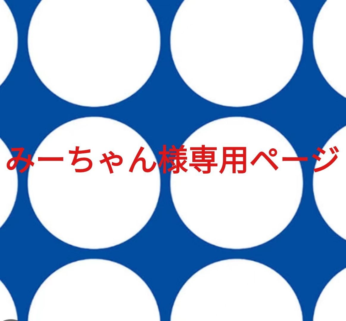 みーちゃん様専用ページです。 - メルカリ