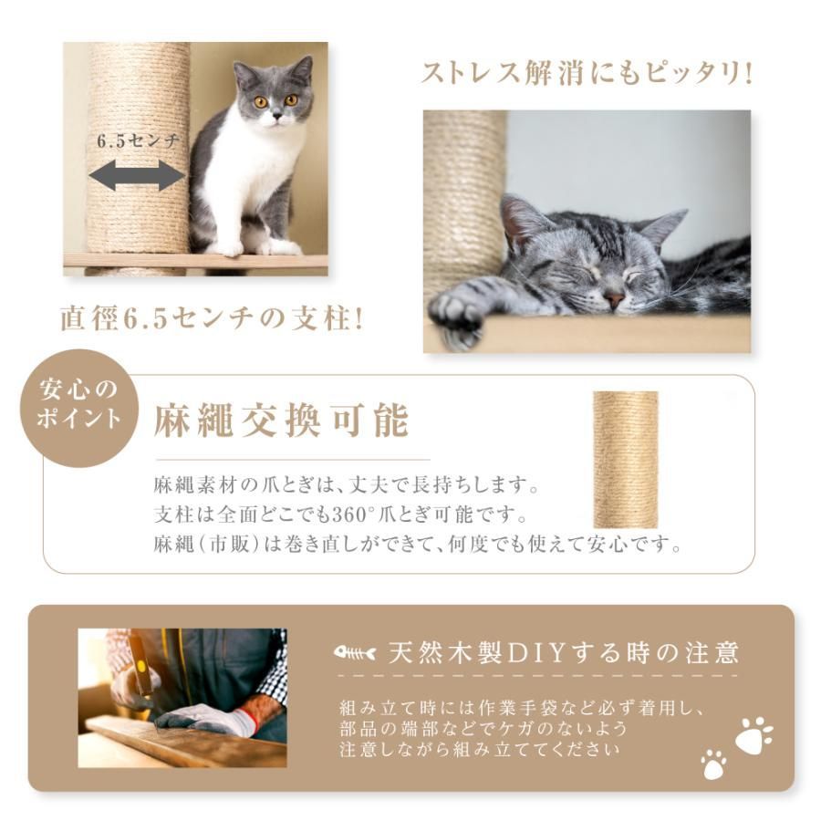 猫タワー
