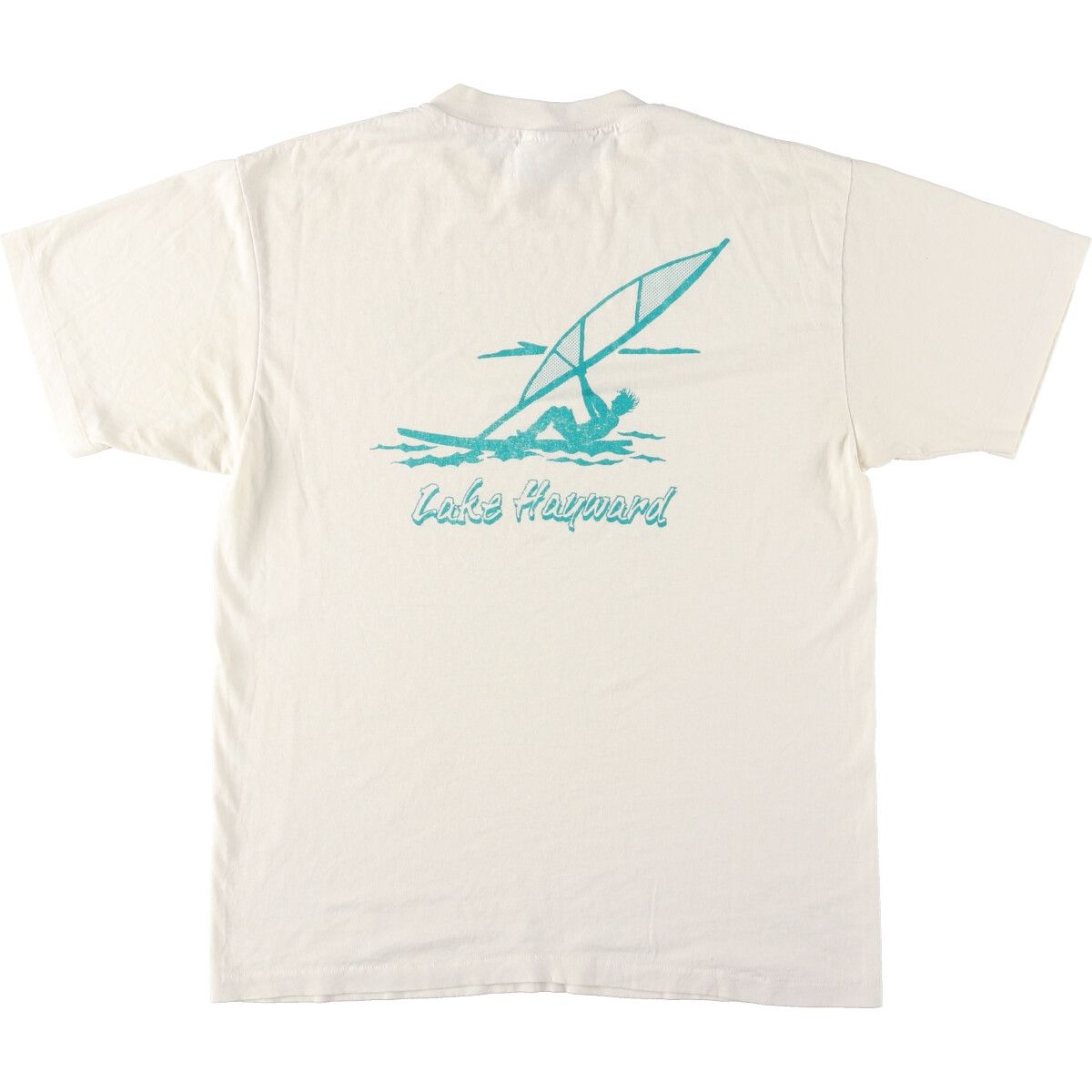 古着 90年代 ヘインズ Hanes バックプリント プリントTシャツ USA製 