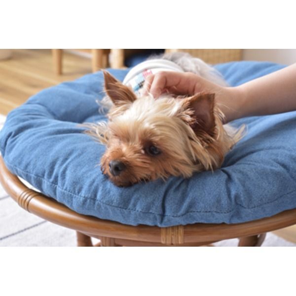 ペット用スツール ペット用品 約直径55×高さ35cm 静的耐荷重80kg 取り外し式 クッション付き ラタン 完成品 プレゼント