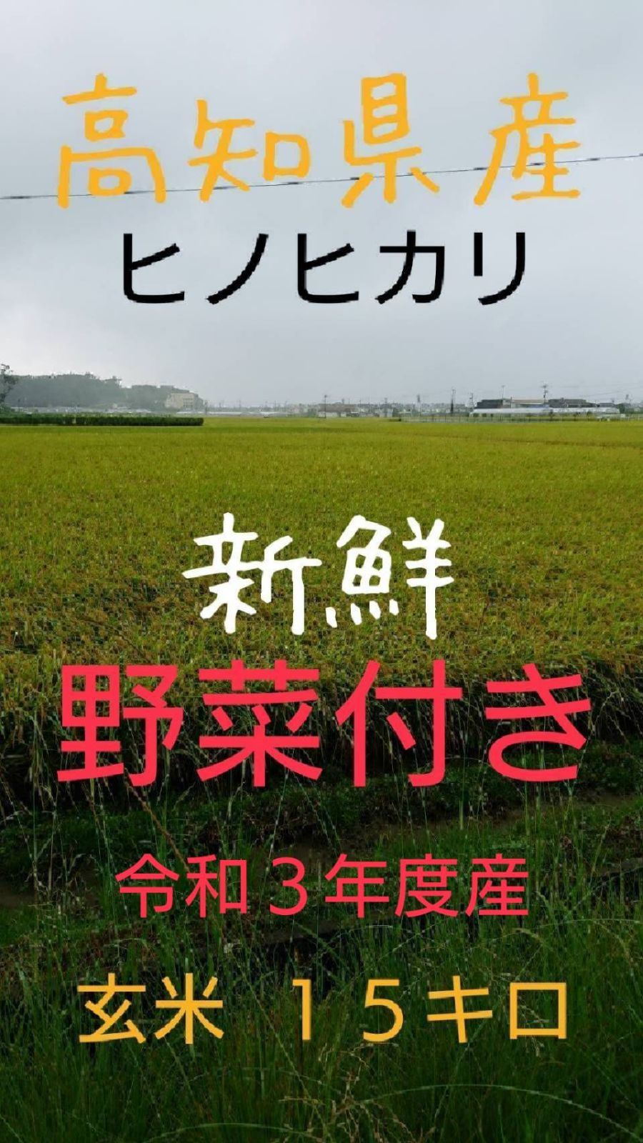 高知・奈半利町産ヒノヒカリ - 米・雑穀・粉類