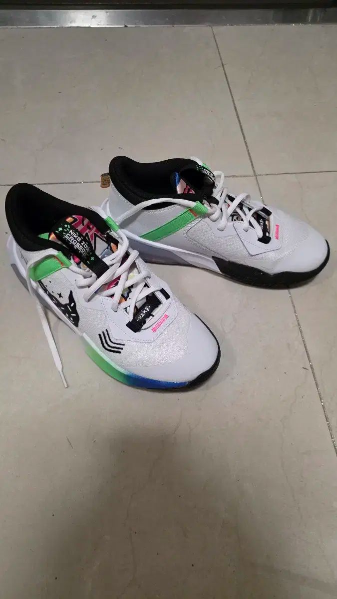 NIKE ナイキ バドミントンシューズ 250 mm 販売