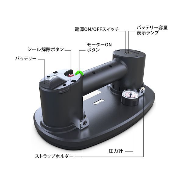 ７営業日以内発送
