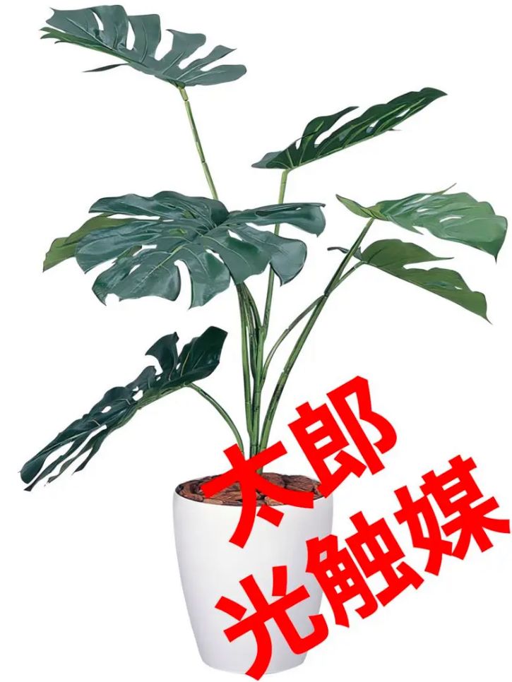 光触媒 人工観葉植物 ウォールグリーン フェイクグリーン モンステラ90-