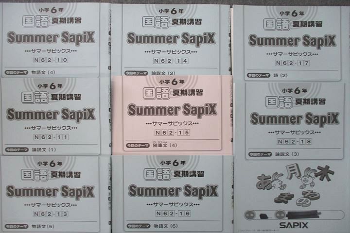 サピックス 国語 6年 夏休みに 中学受験】サピックス6年の夏期講習