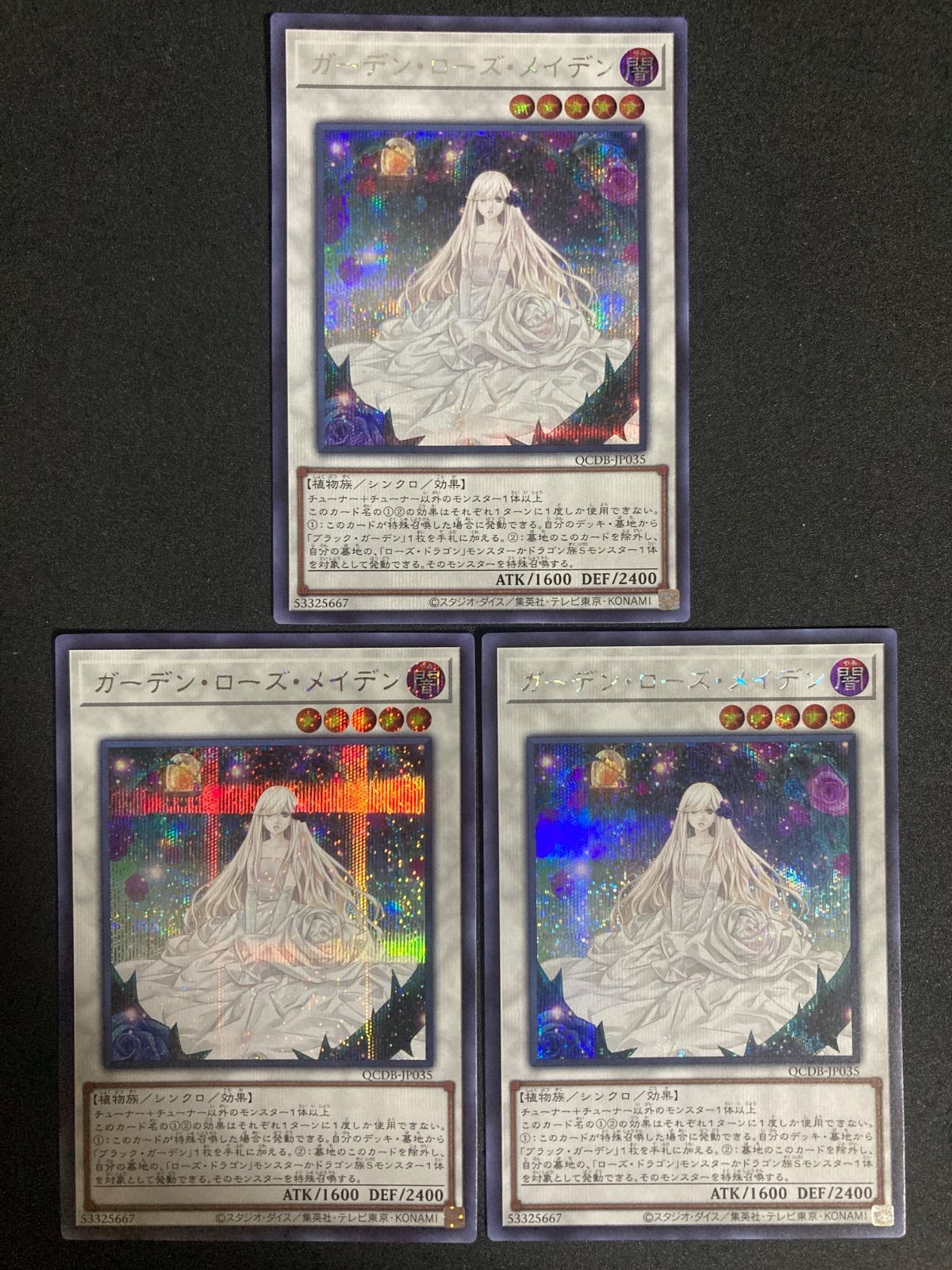 ガーデン・ローズ・メイデン プリシク