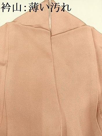 平和屋着物□伝統工芸士 広瀬雄望 江戸小紋 鮫小紋柄 正絹