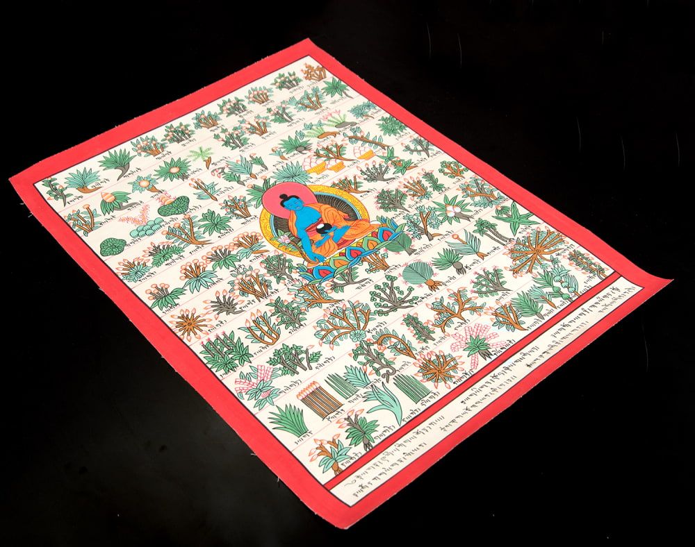 タンカ　チベット直筆人体図　ドクロ 一点物〕タンカ - チベット医学 人体経絡図[40x46cm] の通販