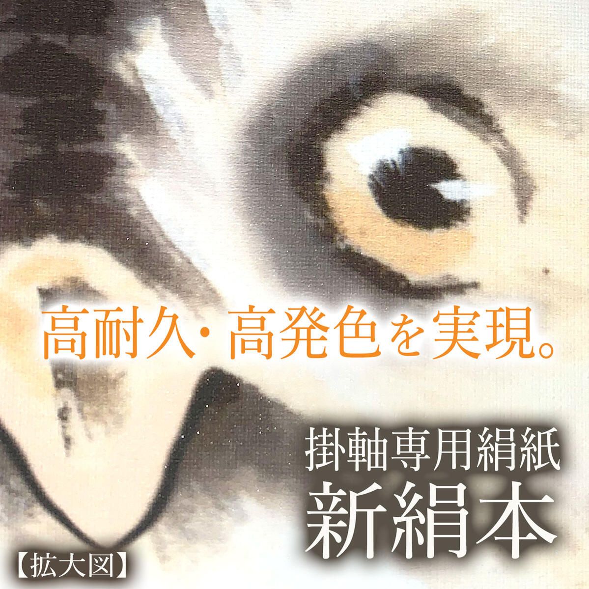 10年保証 掛け軸 開運画 松竹梅梟図 山村観峰 尺5 桐箱付き床の間