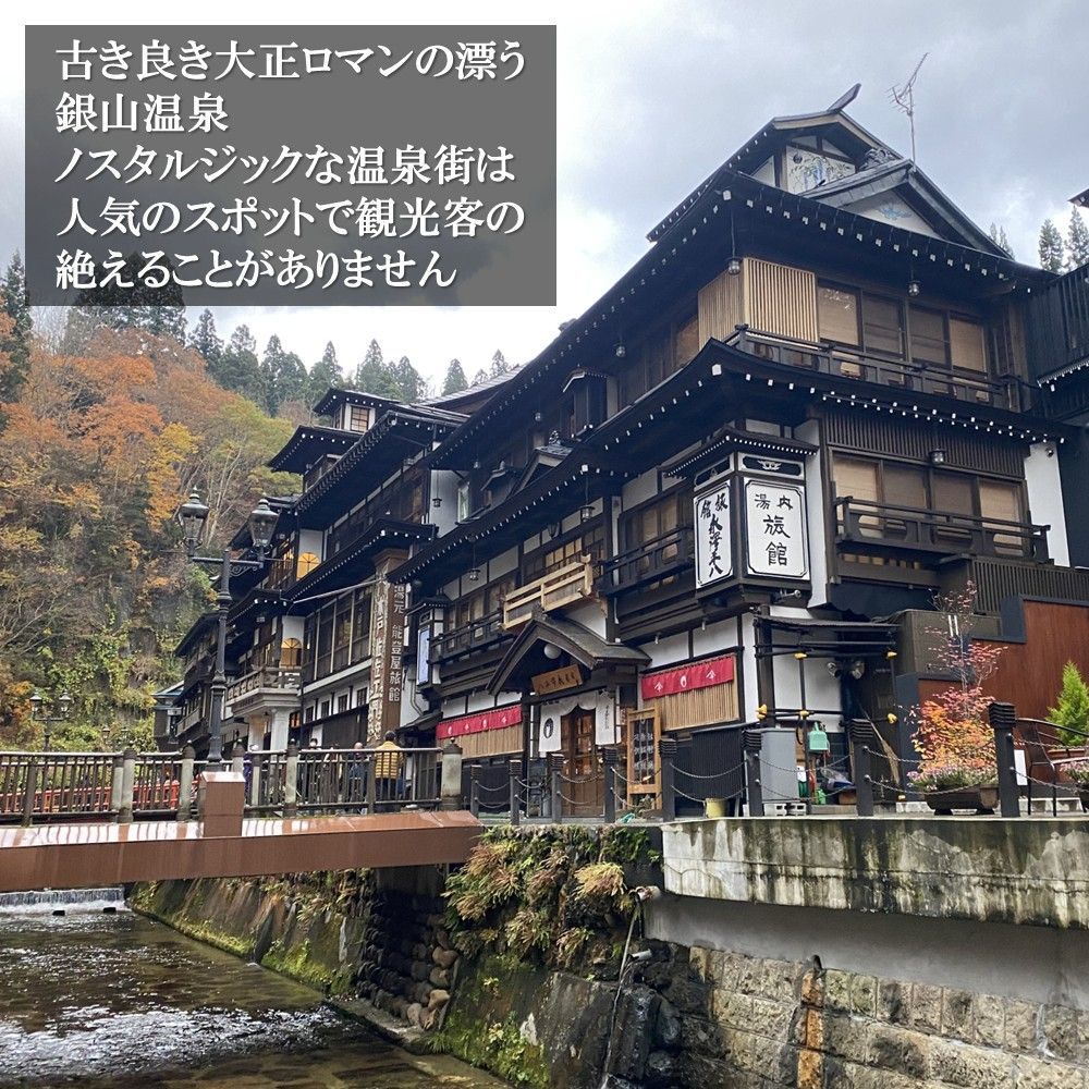 「明友庵」 ずんだん餅 5個入(250g)×2箱 銀山温泉 名物 枝豆 甘さすっきり ギフト ご贈答にも