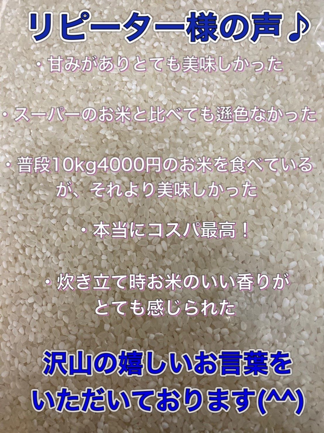 令和4年産新米】コスパ米 白米 20kg(5kg×4) 送料無料！ お米 - OKB