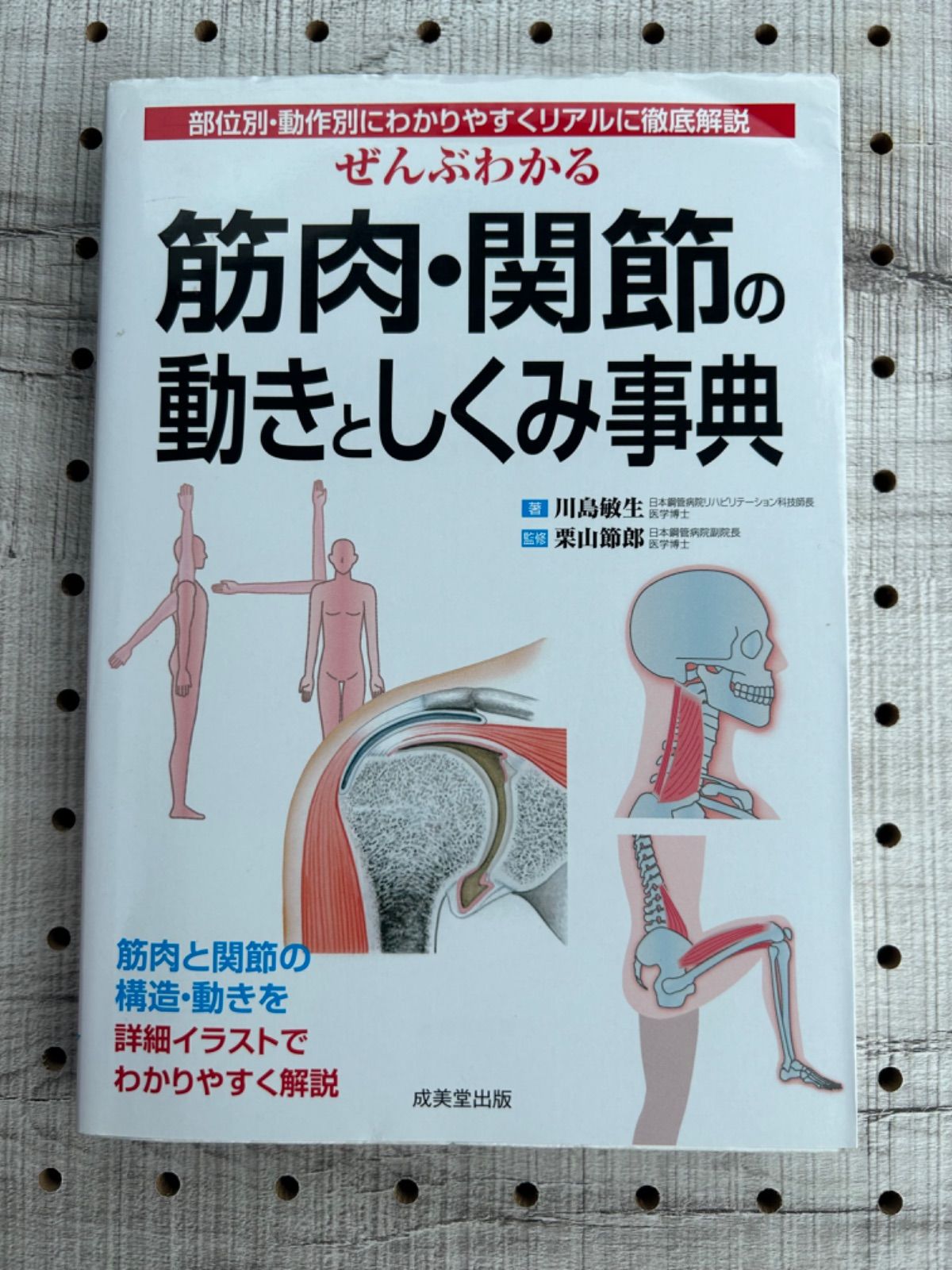 ぜんぶわかる動作・運動別筋肉・関節のしくみ事典 : リアルな部位別