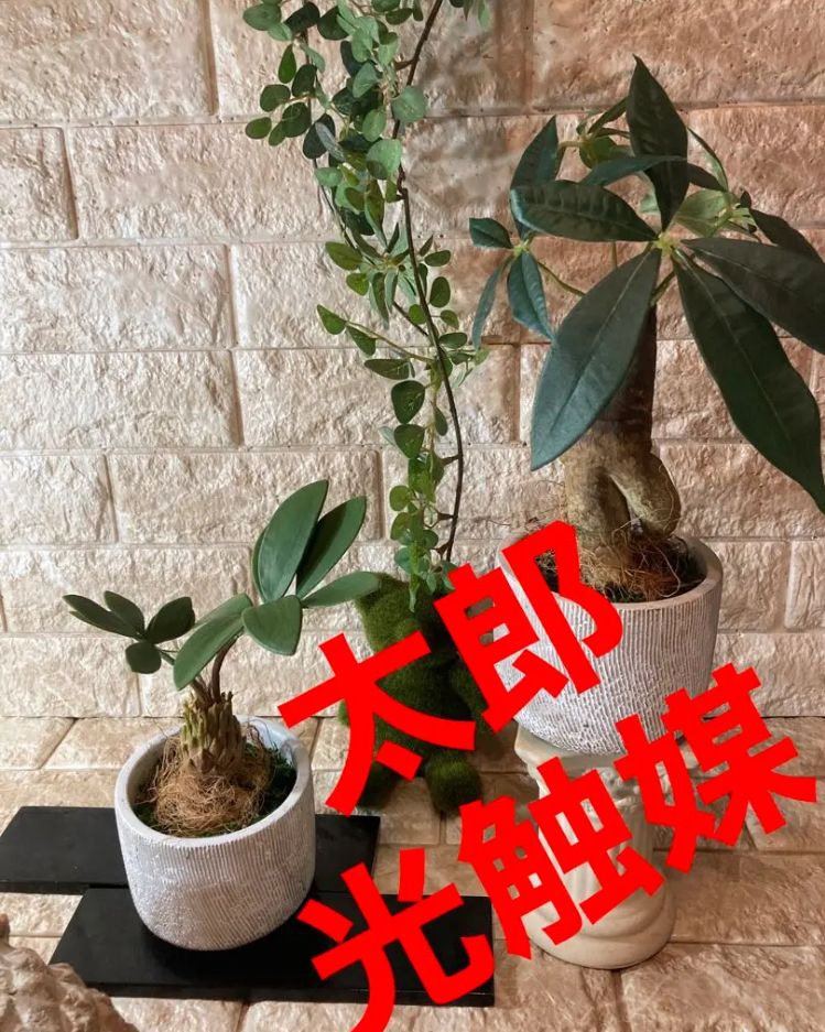 光触媒 人工観葉植物 ウォールグリーン フェイク フラワ トロピカルと