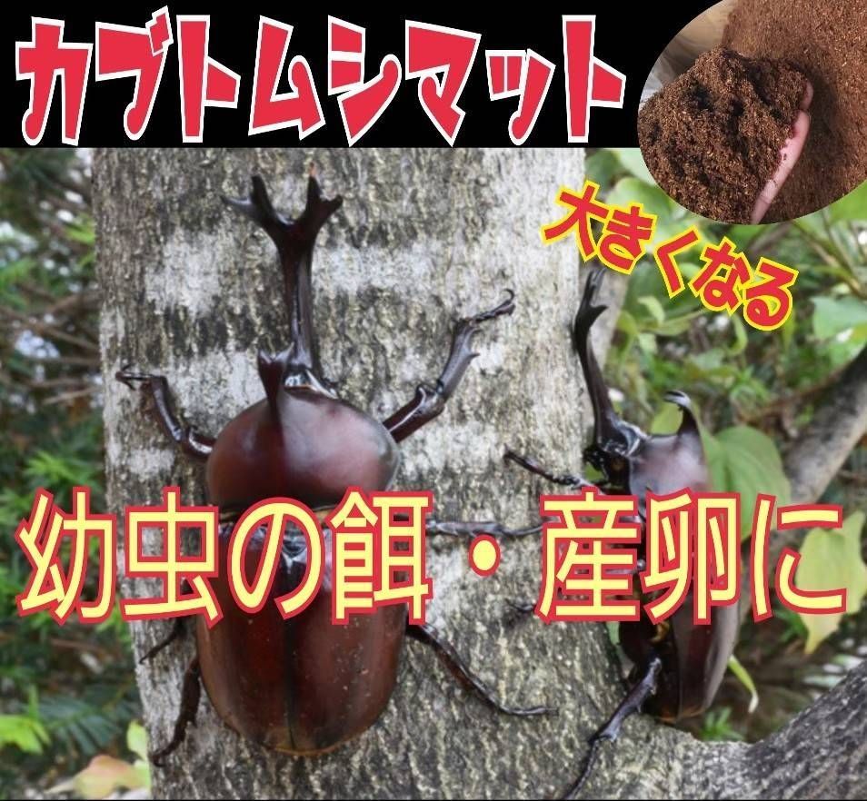 国産カブトムシに抜群！幼虫が丸々大きくなる発酵マット【4袋】産卵に