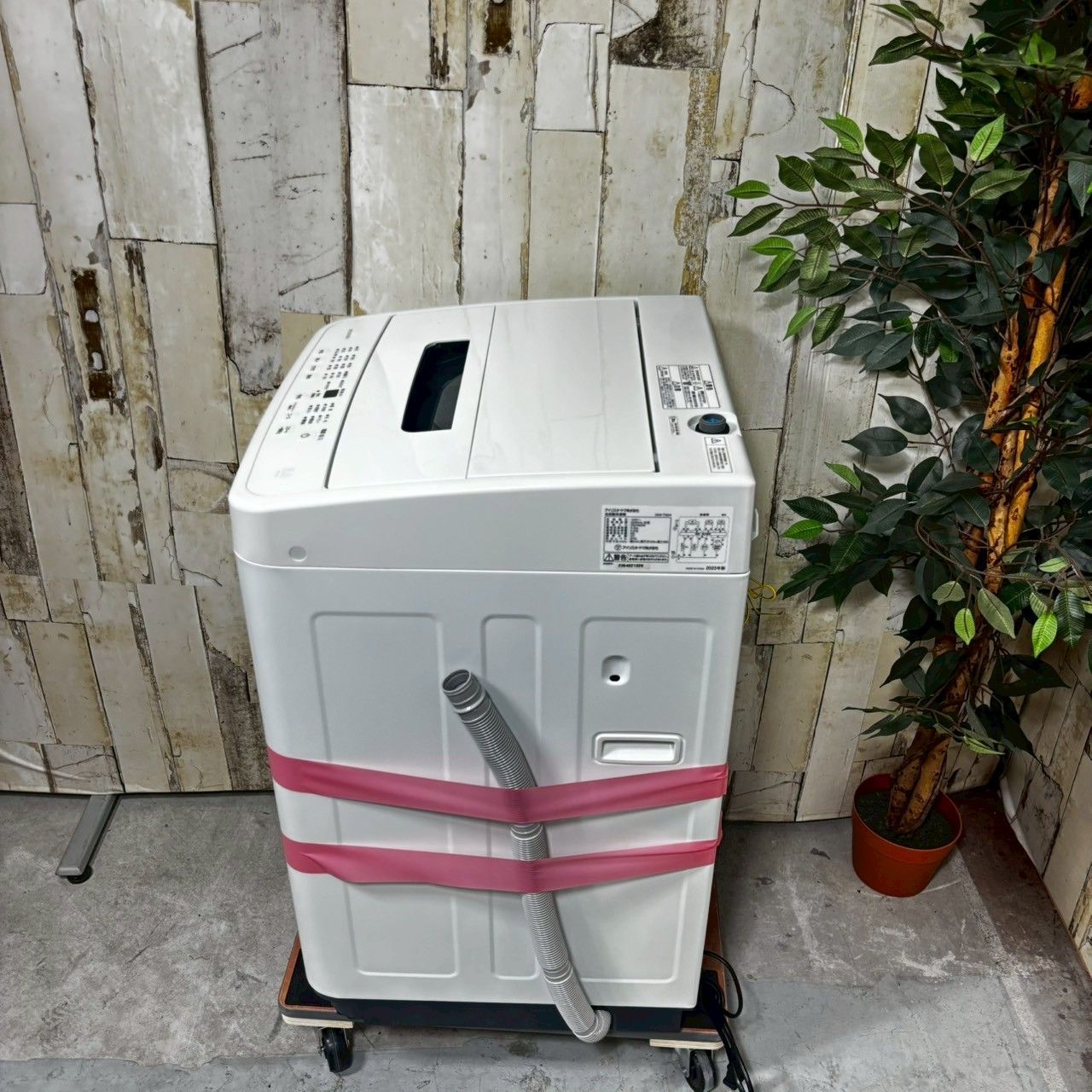 美品/洗濯機/アイリスオーヤマ/2023年製/5.0kg/IAW-T504 IRISOHYAMA アイリスオーヤマ 洗濯機 IAW-T504 2023年製 5㎏