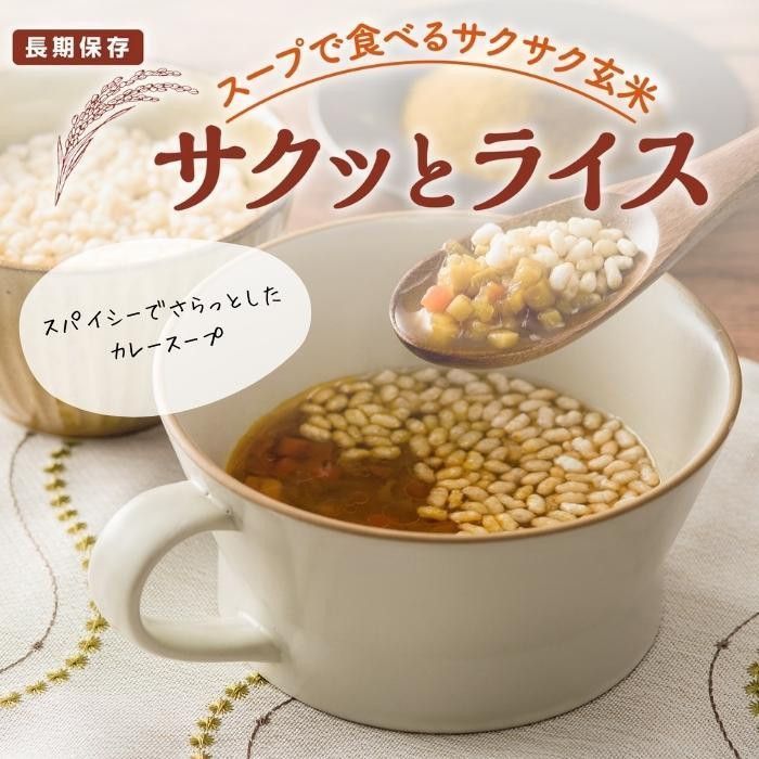 アルファー食品 サクッとライス 野菜カレースープ 190g ×40袋セット 11421638