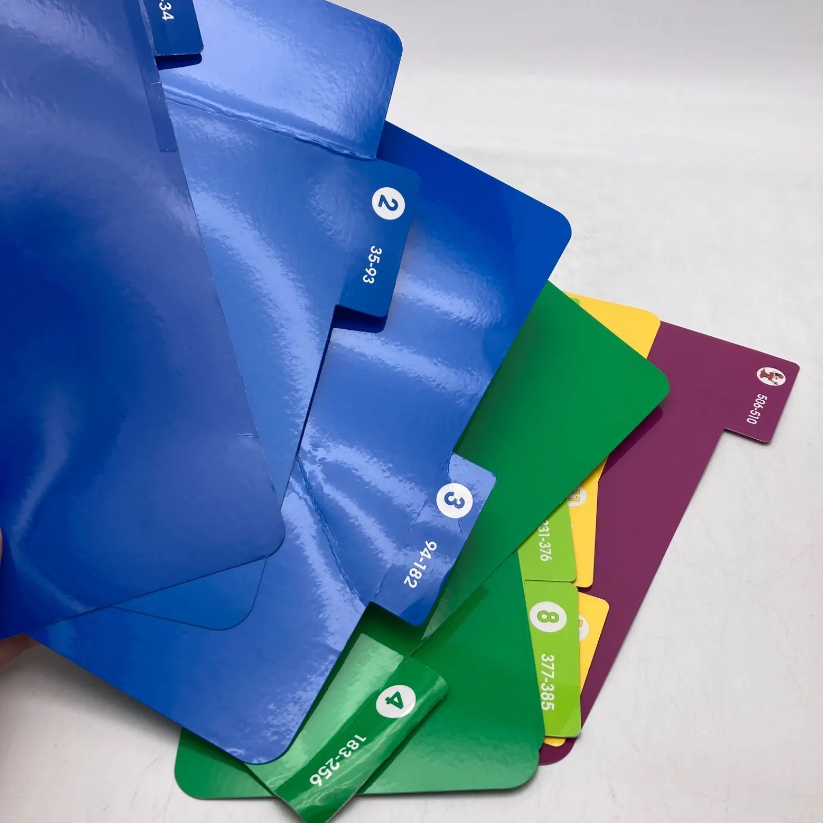 最新 トークアロング Q＆Aカード ディズニー英語システム DWE