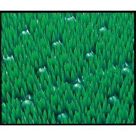 テラエルボー９００×１２００ｍｍMR0520501 テラモト