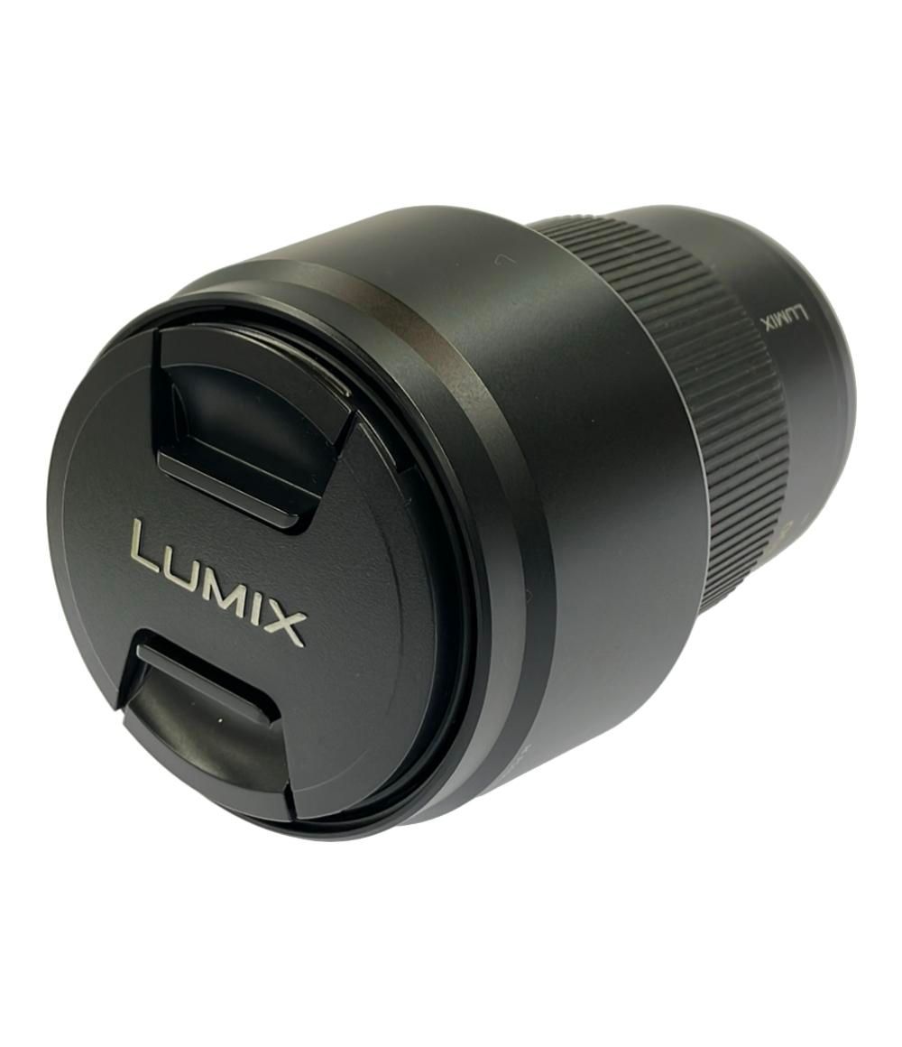 訳あり パナソニック 交換用レンズ LUMIX G VARIO 100-300mm F4-5.6 MEGA O.I.S. H-FS100300 Panasonic