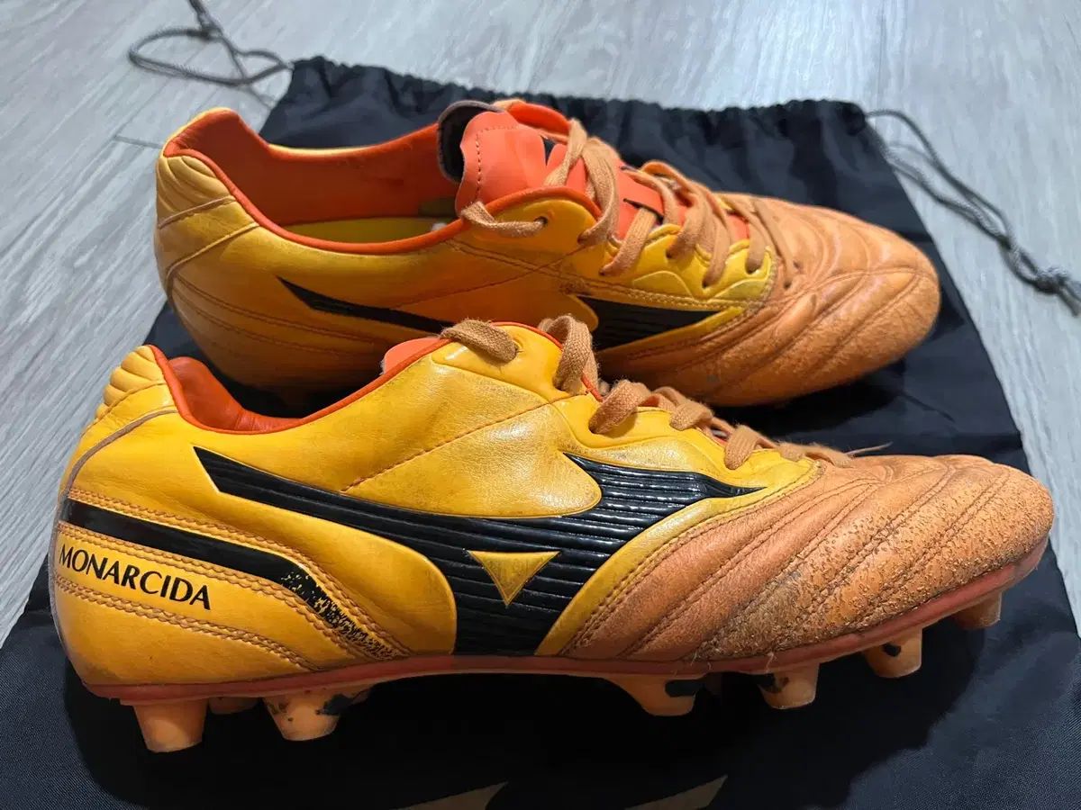 ✿ Mizuno