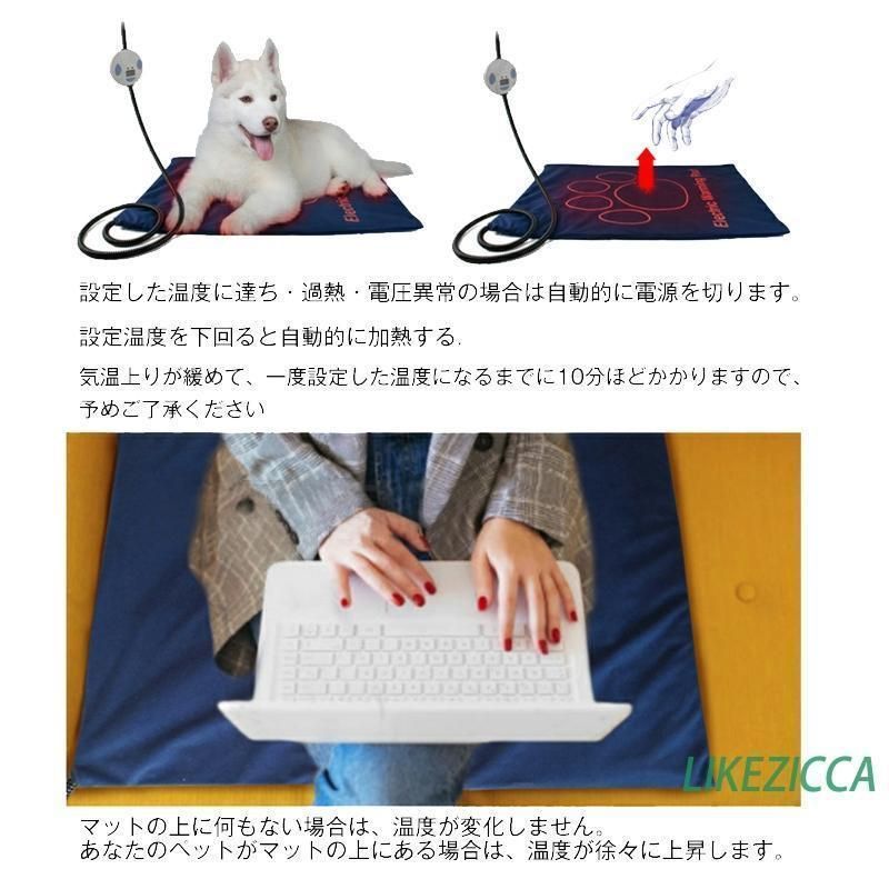 犬 猫