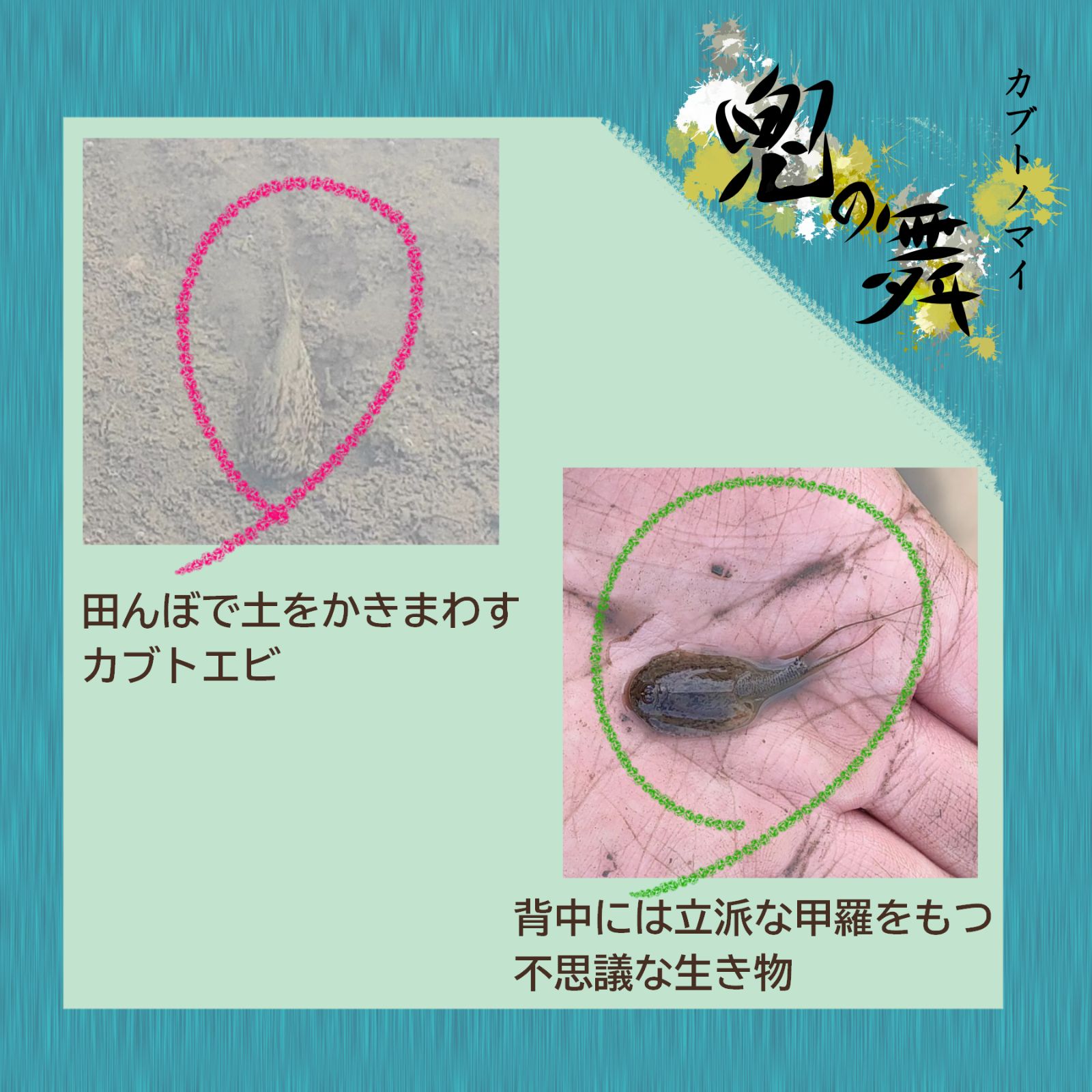 のサムネイル