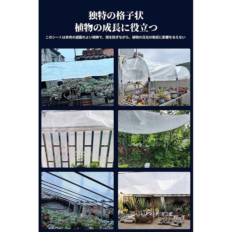 紫外線カット 透明