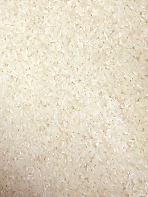 令和6年産 ひとめぼれ 精米 10キロ 一等米 宮城県登米市中田町