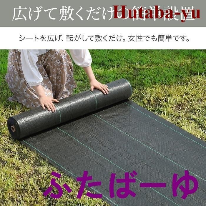 UV剤入り 雑草