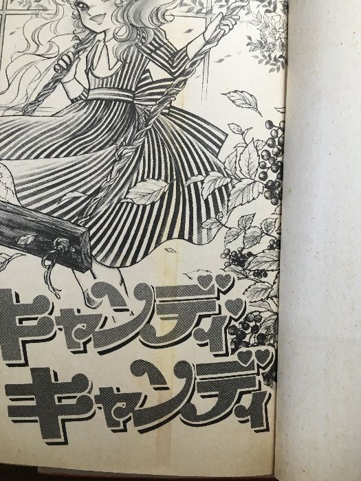 全巻セット【キャンディキャンディ 全9巻】◇9冊セット