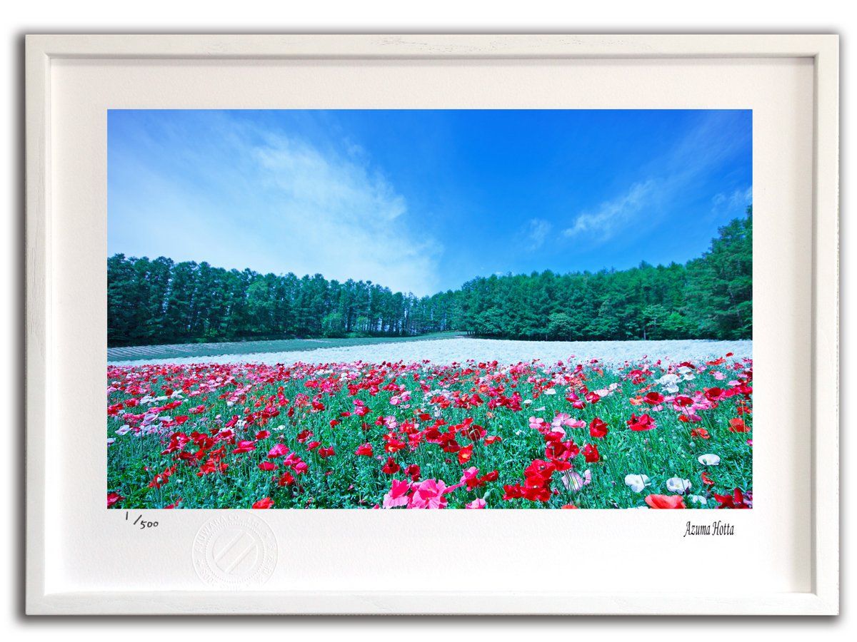 額装済/1025Colors/ゲルハルトリヒター/インテリア/ポスター/リビング