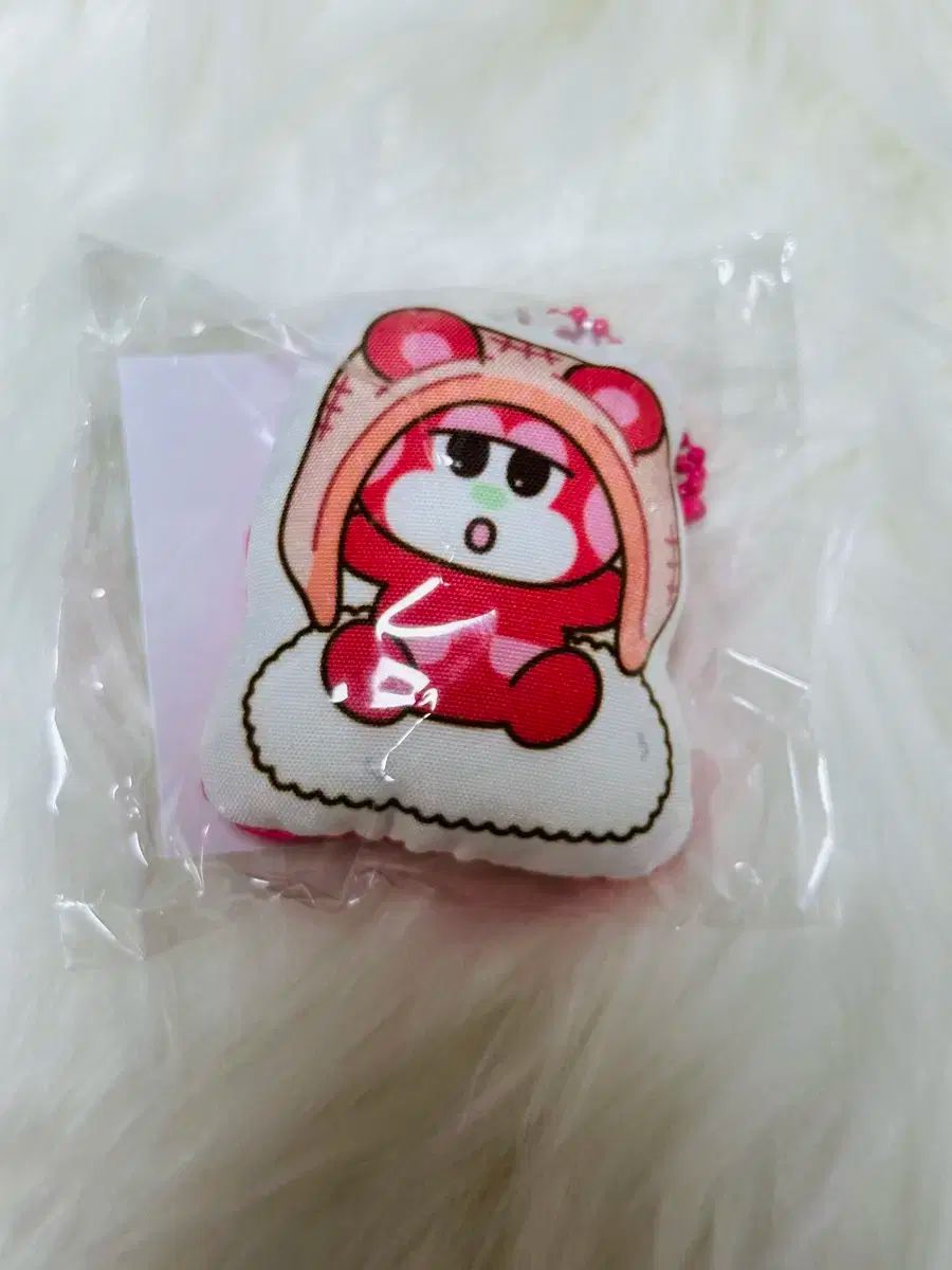 Riize ポップアップ ショウタロウ 中国限定 Riize ポップアップ