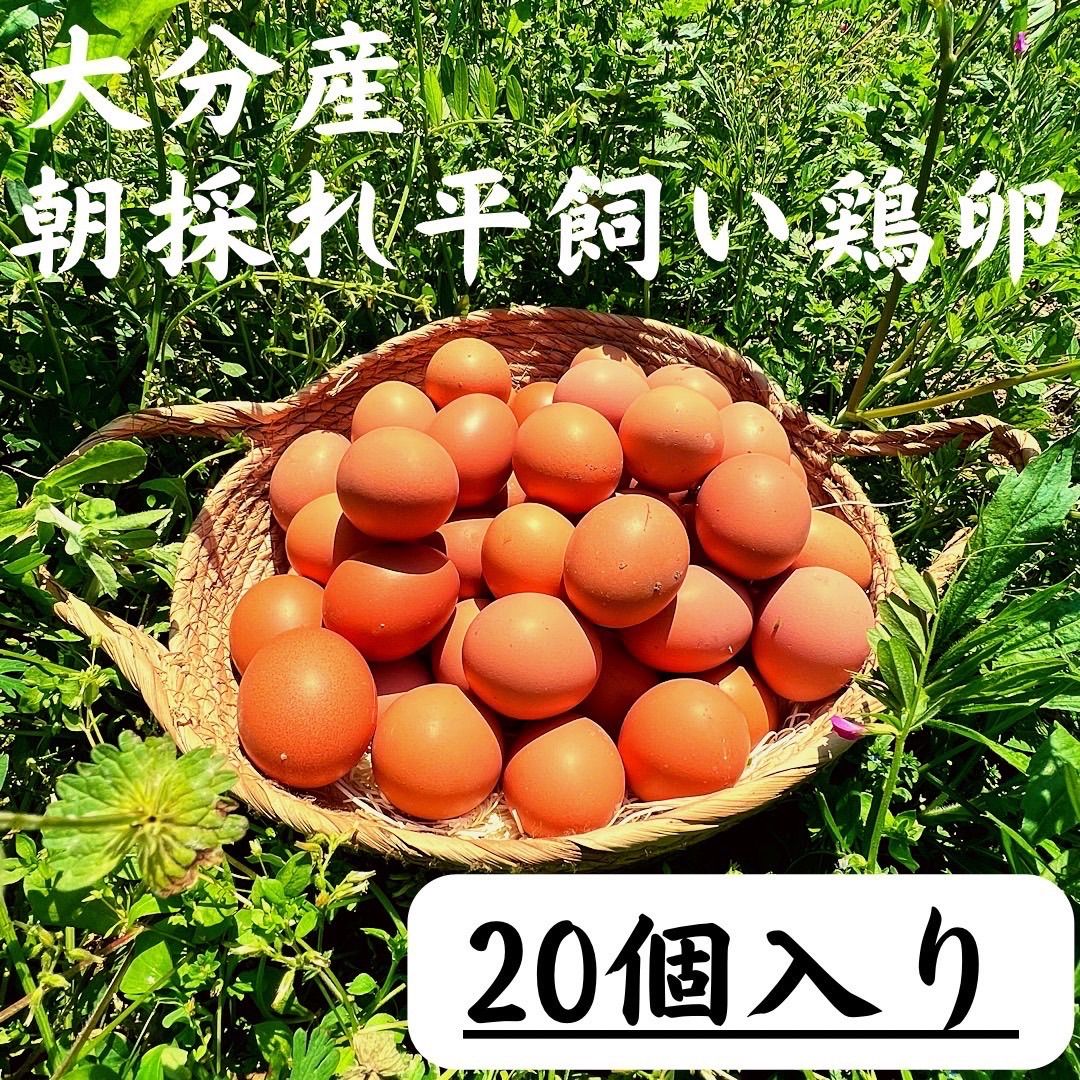 夏期間限定☆メーカー価格より68%OFF!☆ 平飼い麦卵 50個 - 通販