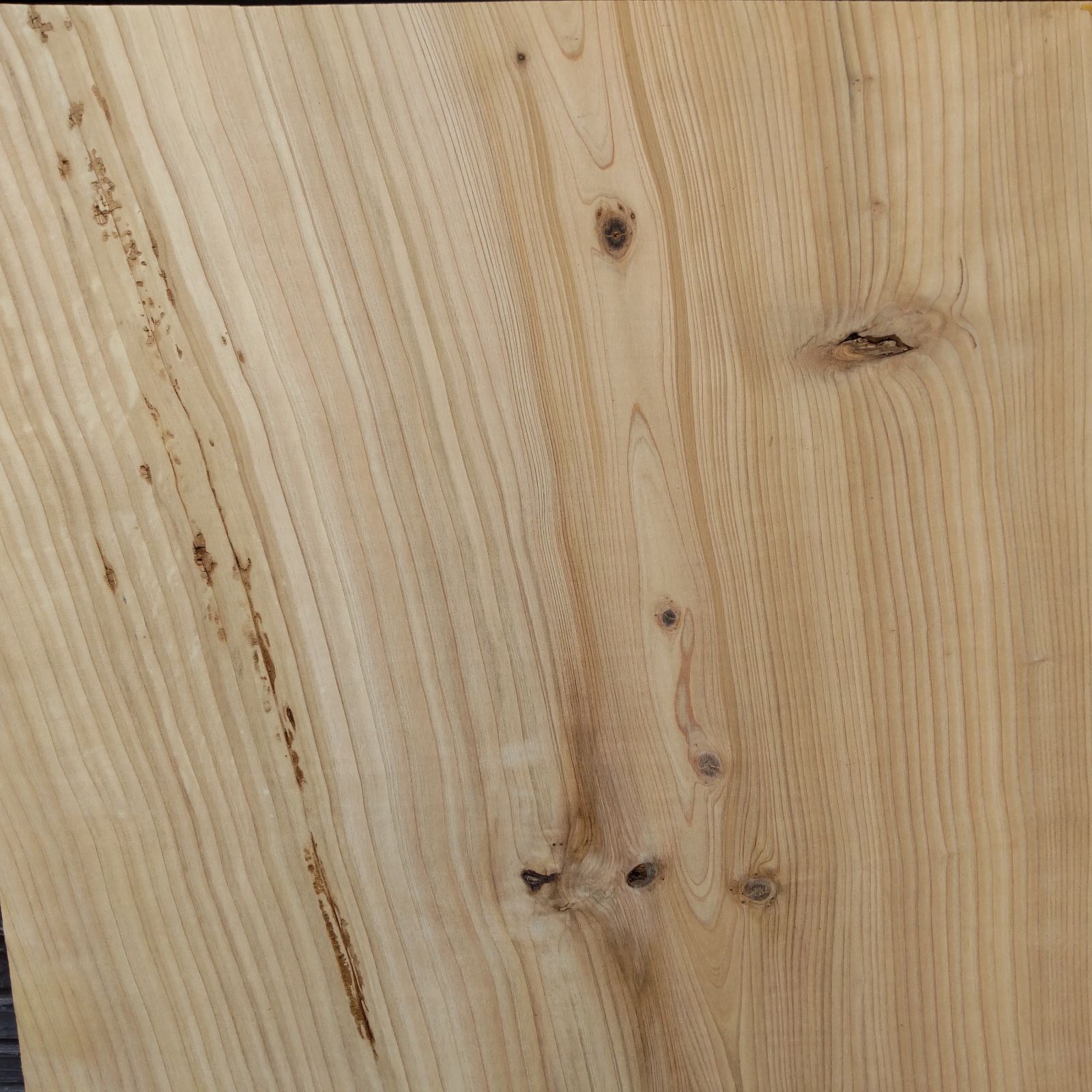  日田杉 一枚板 樹齢100年以上 144 5 cm 63 木材 材料 資材