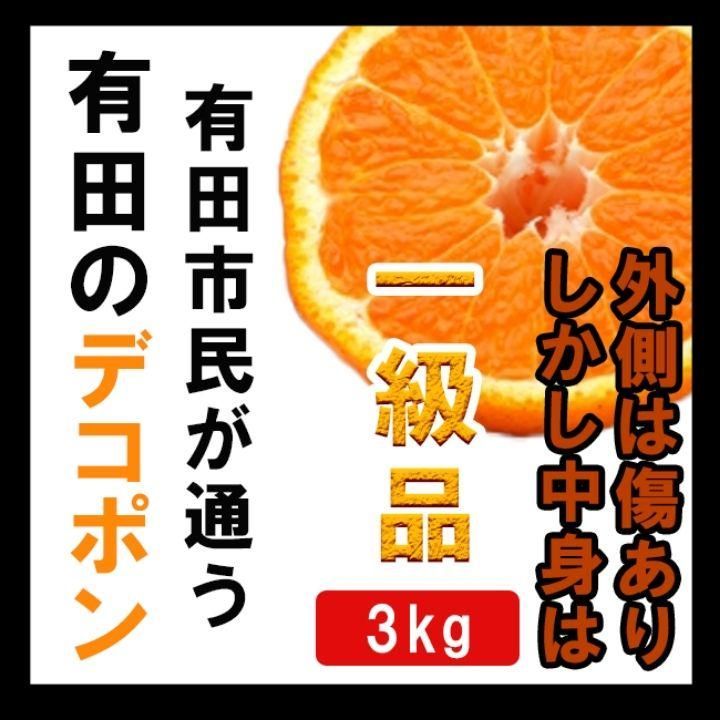 酒粕（板粕）300ｇ※ごぼう茶サンプル付き☆ - その他 加工食品