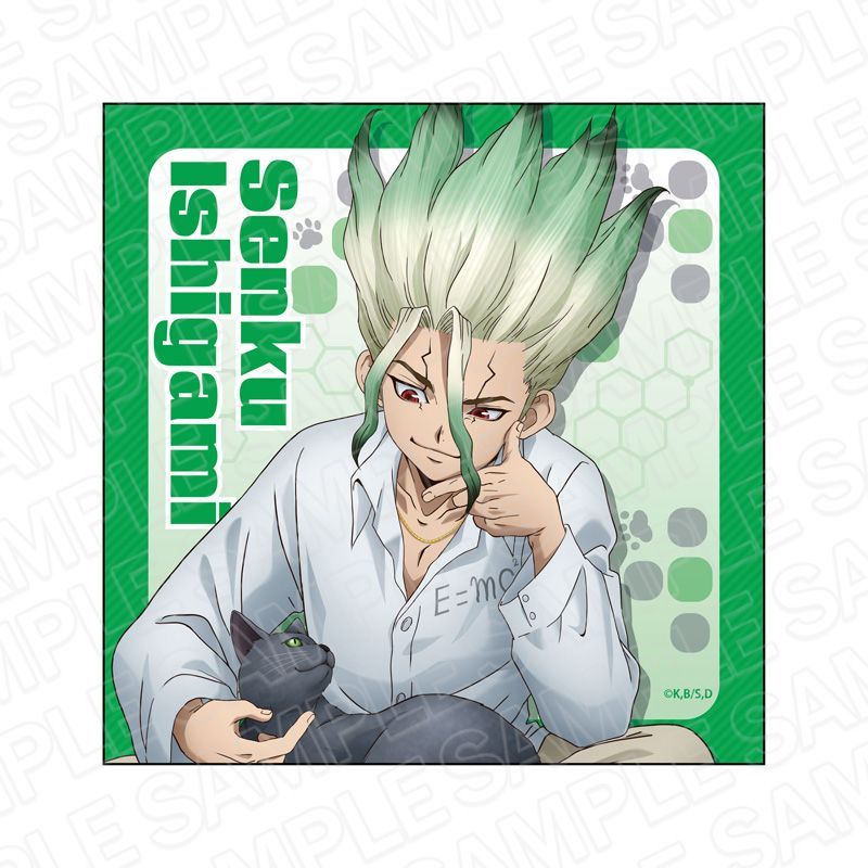 新品・公式】Dr.STONE マイクロファイバー 石神千空 猫と
