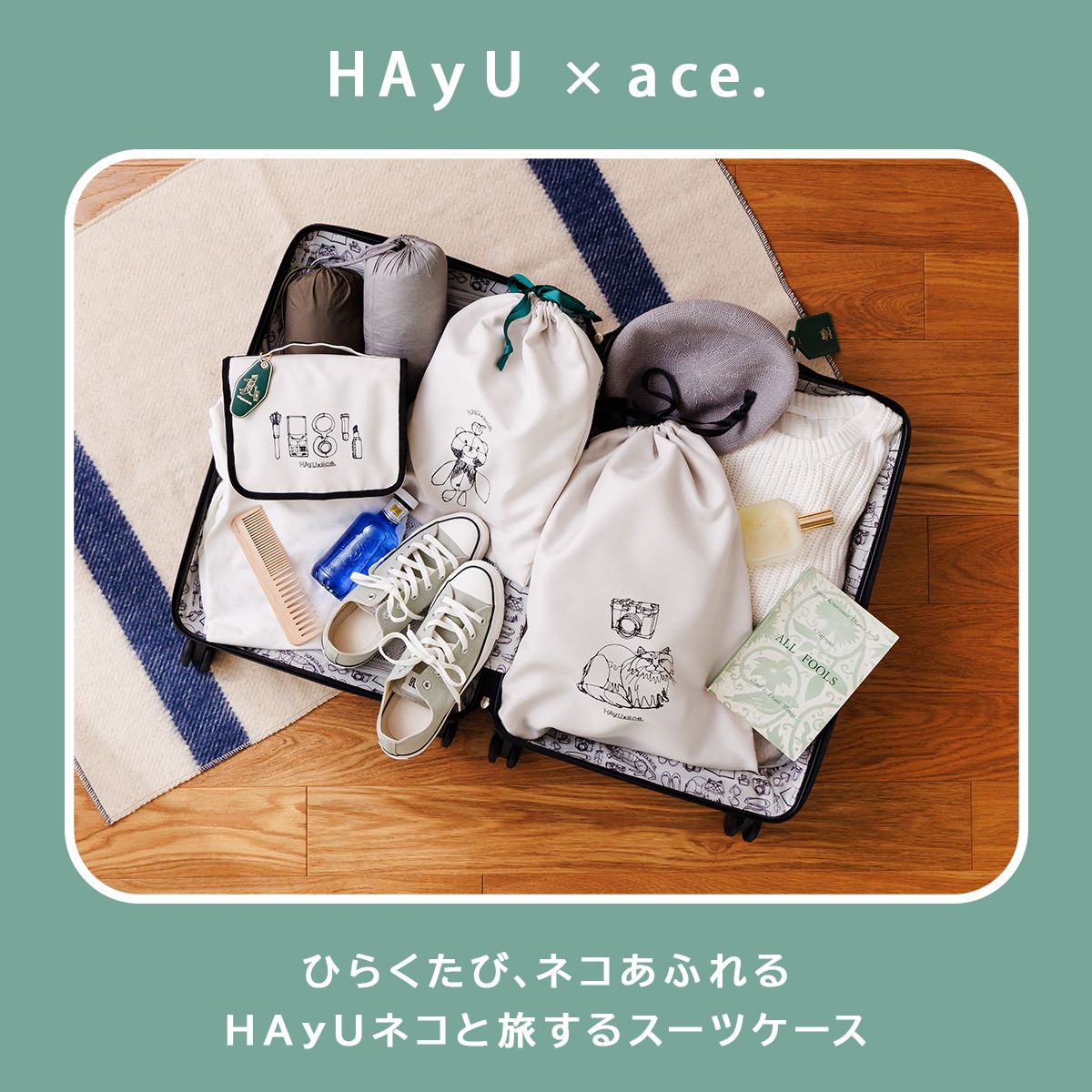 HAyU パキラ
