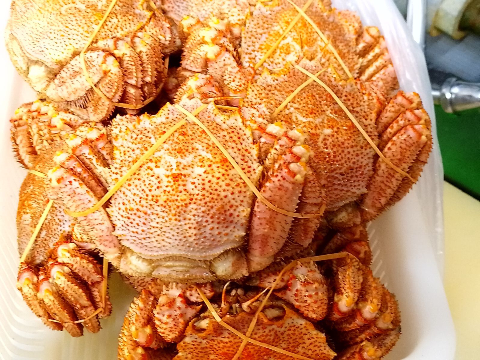 ホンダフォルツァmf10[z] odo4789kmHP-0757-002 小売業者