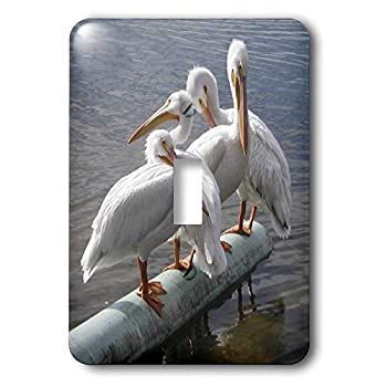 3drose LLC lsp _ 4102?_ 1恐竜Single切り替えスイッチ 並行輸入 3drose LLC lsp _ 4102?_ 1恐竜Single切り替えスイッチ 並行輸入