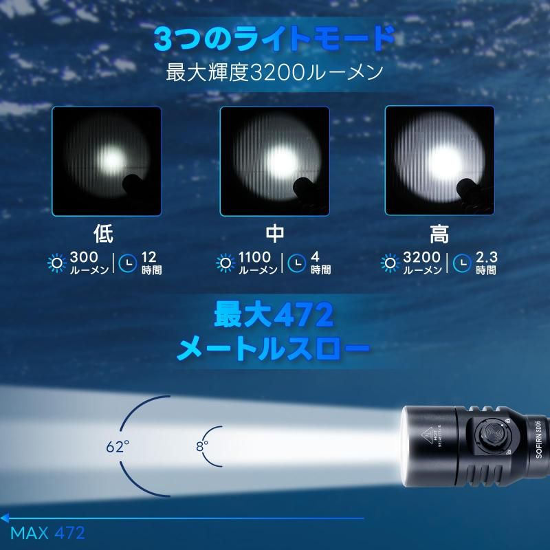 ナイトダイビング 釣り