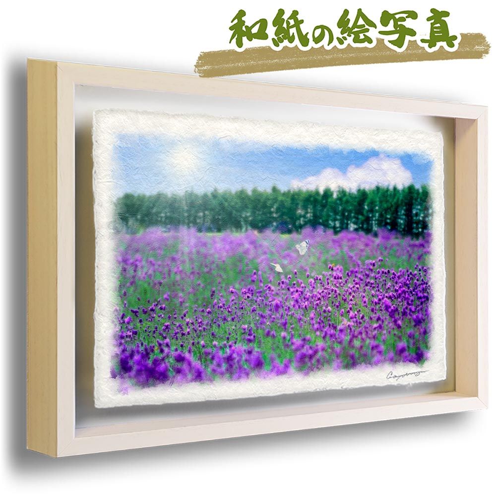 和紙の絵写真 「ラベンダー畑のモンシロチョウ」 立体額縁付き 38x27cm