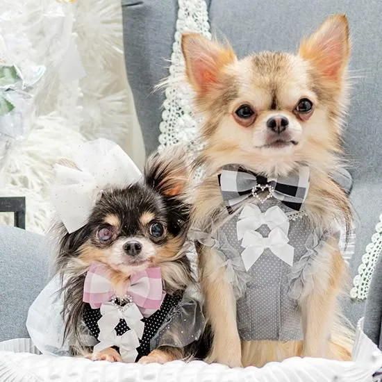 小型犬 首輪【ルルドール】ラージギンガムカラー SSサイズ 犬の