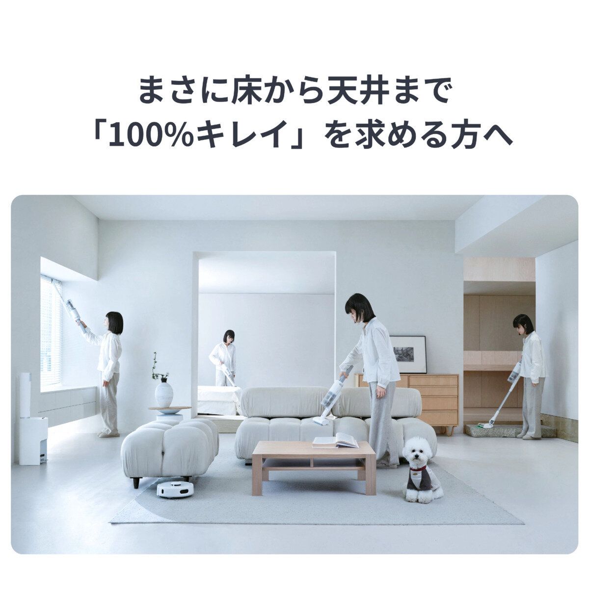 プロコンボ