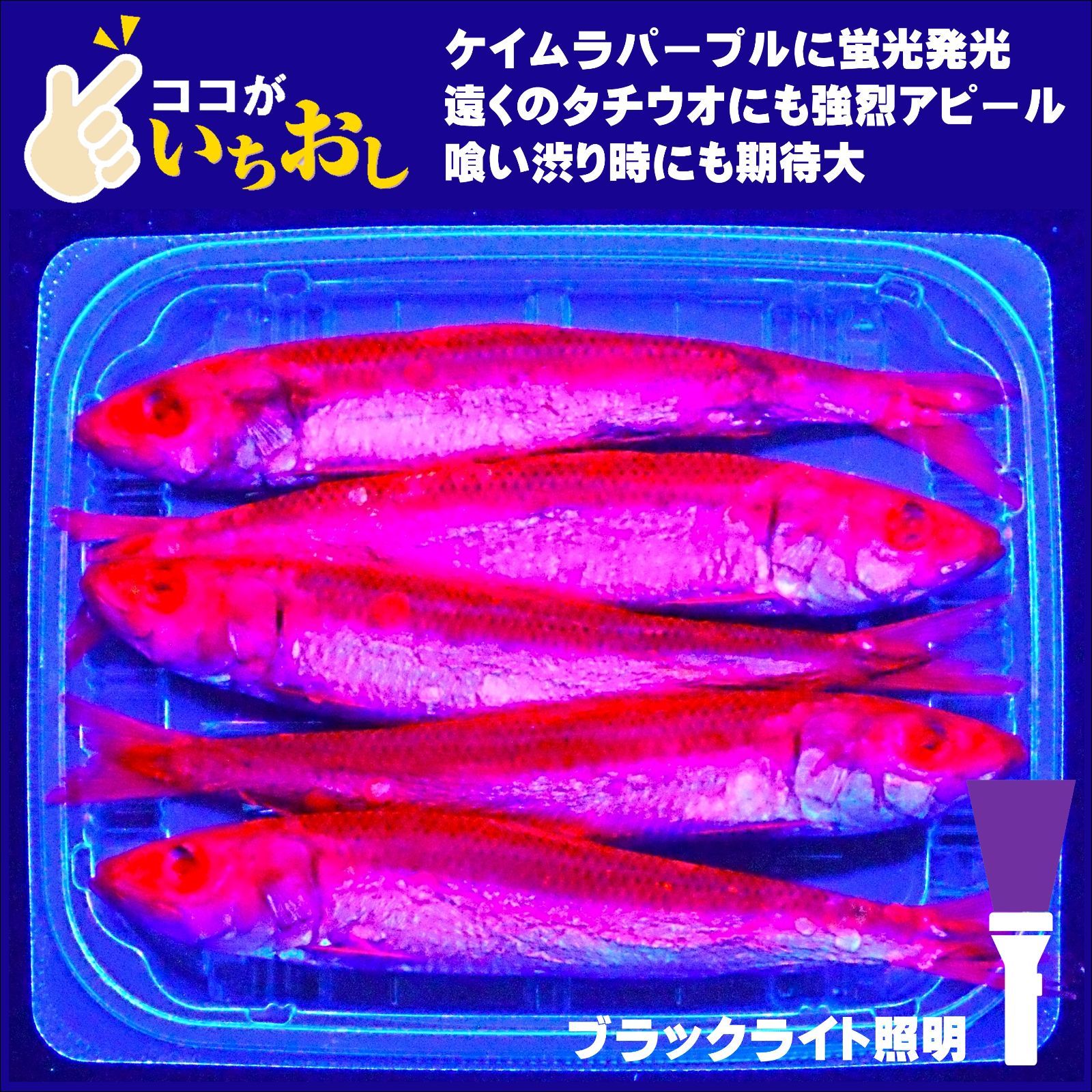 テンヤタチウオ 餌 テンヤ太刀魚 仕掛け 激臭にんにくアミノ酸配合