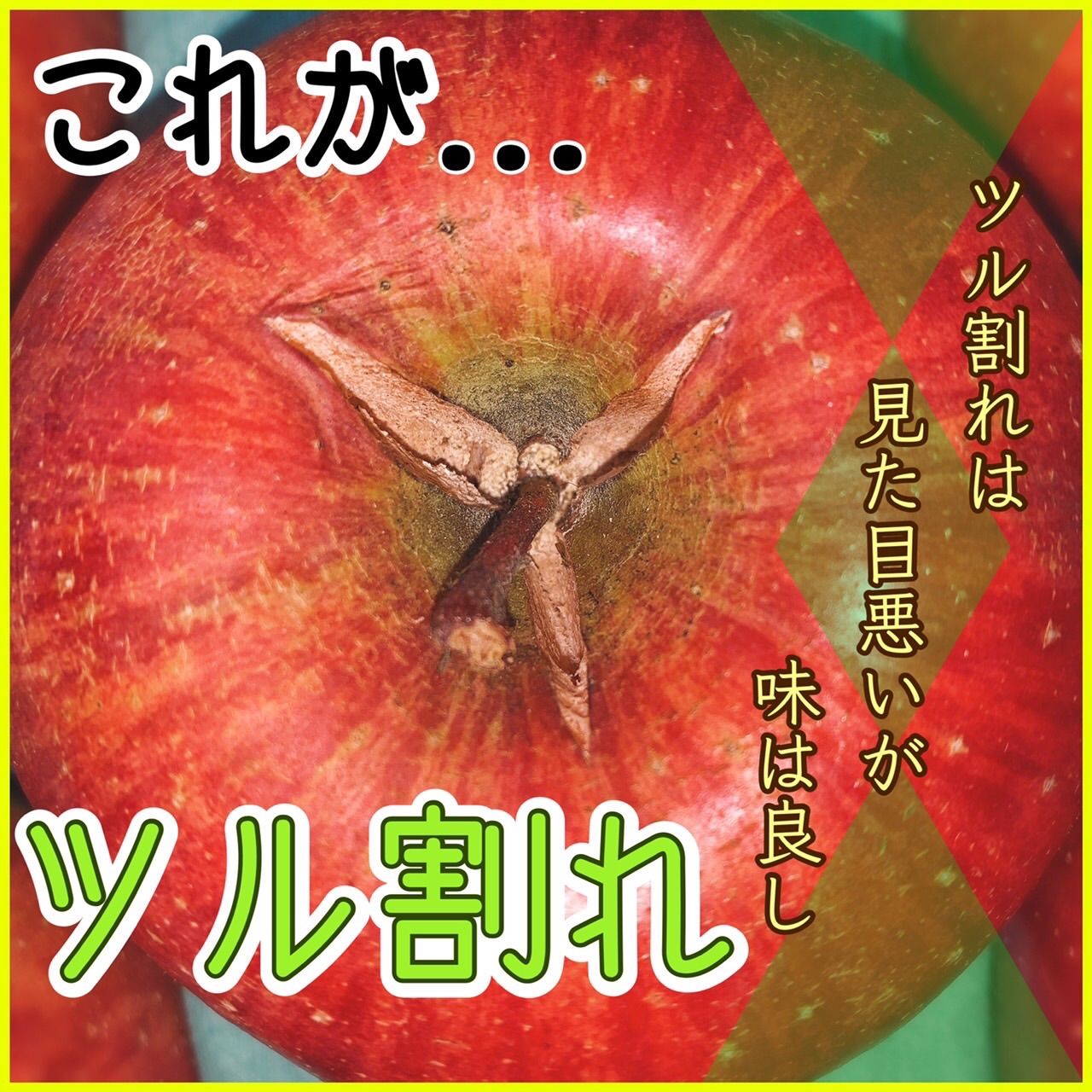 ☆青森県産サンふじ☆超‼️訳あり6~7㎏