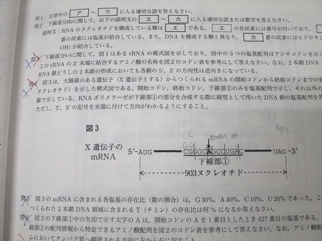 鉄緑会 高2 生物基礎講座 問題集 第1/2部 テキストセット 2022