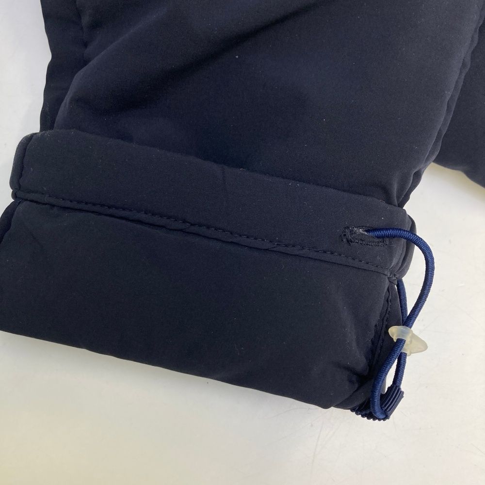 アンパスィ モデル