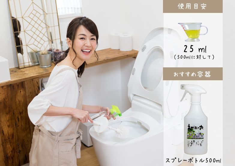 えがおの力 2L