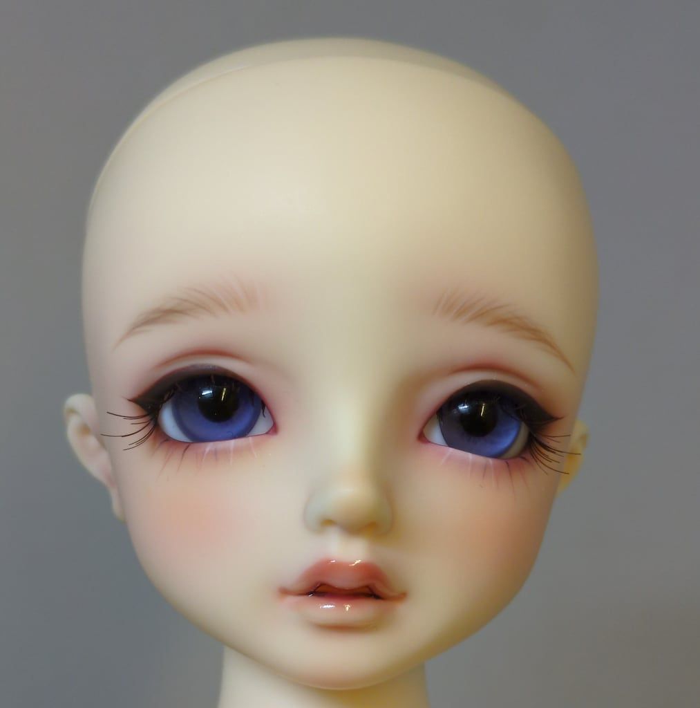 コーディネートモデル F-54