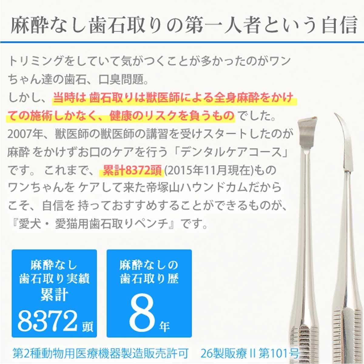 帝塚山ハウンドカム] 愛犬愛猫用 歯石取りペンチ デンタルケア用品 歯垢 (歯石除去用スケーラー 先細) - メルカリ